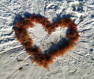 heart-of-seaweed-mgdc2a9